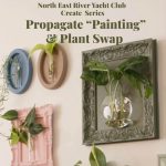 Craft & Create Event: Earth Day Plant Swap & Propagation Project