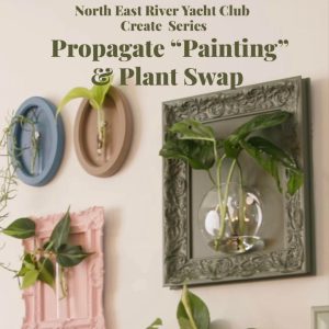 Craft & Create Event: Earth Day Plant Swap & Propagation Project