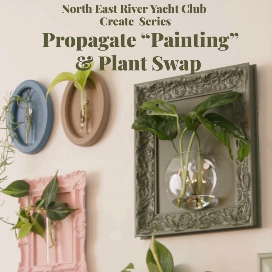 Craft & Create Event: Earth Day Plant Swap & Propagation Project